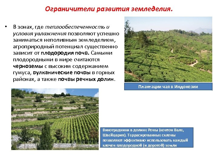 Ограничители развития земледелия. • В зонах, где теплообеспеченность и условия увлажнения позволяют успешно заниматься
