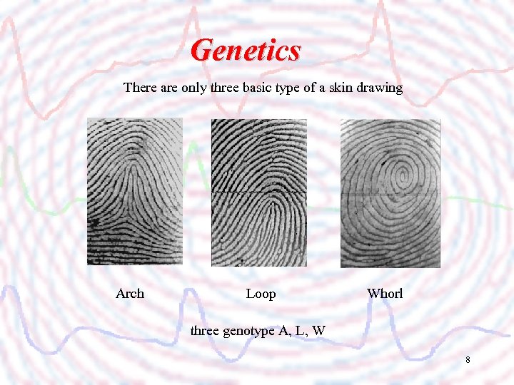 Genetics There are only three basic type of a skin drawing Arch Loop Whorl