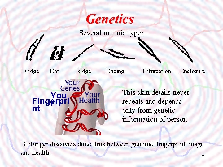 Genetics Several minutia types Bridge Dot Ridge Ending Bifurcation Enclosure You Fingerpri r nt