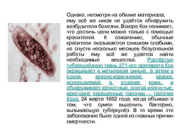 Однако, несмотря на обилие материала, ему всё же никак не удаётся обнаружить возбудителя болезни.