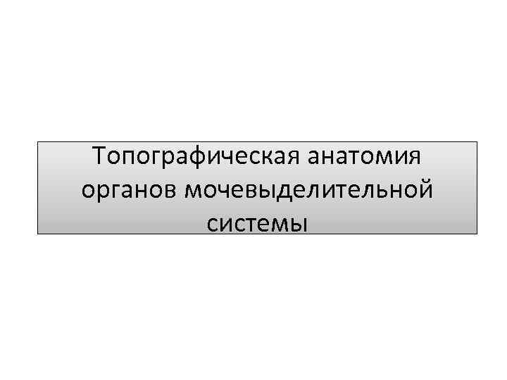 Топографическая анатомия органов мочевыделительной системы 