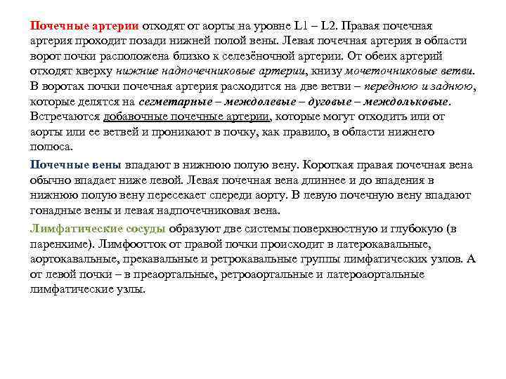 Почечные артерии отходят от аорты на уровне L 1 – L 2. Правая почечная