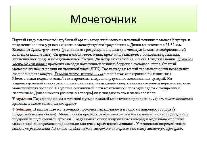 Мочеточник Парный гладкомышечный трубчатый орган, отводящий мочу из почечной лоханки в мочевой пузырь и