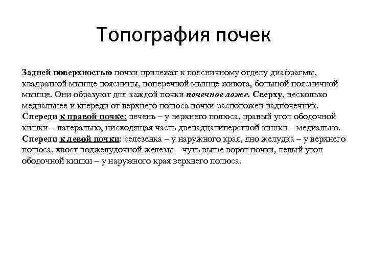 Топография почек Задней поверхностью почки прилежат к поясничному отделу диафрагмы, квадратной мышце поясницы, поперечной