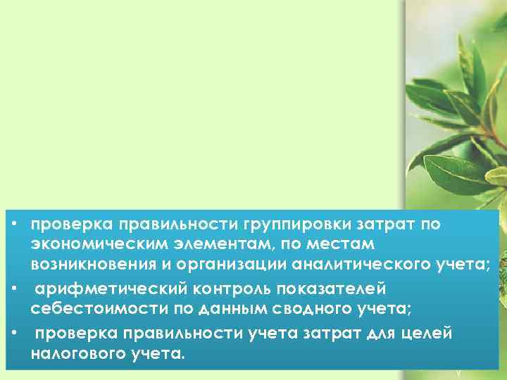  • проверка правильности группировки затрат по экономическим элементам, по местам возникновения и организации