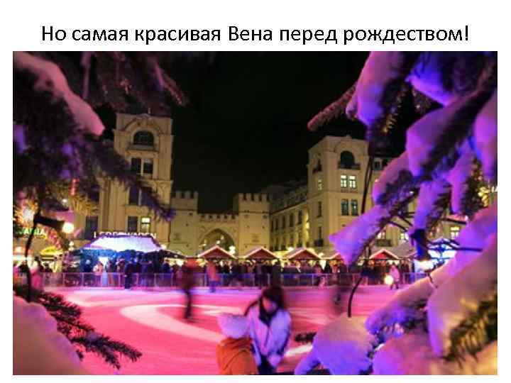 Но самая красивая Вена перед рождеством! 