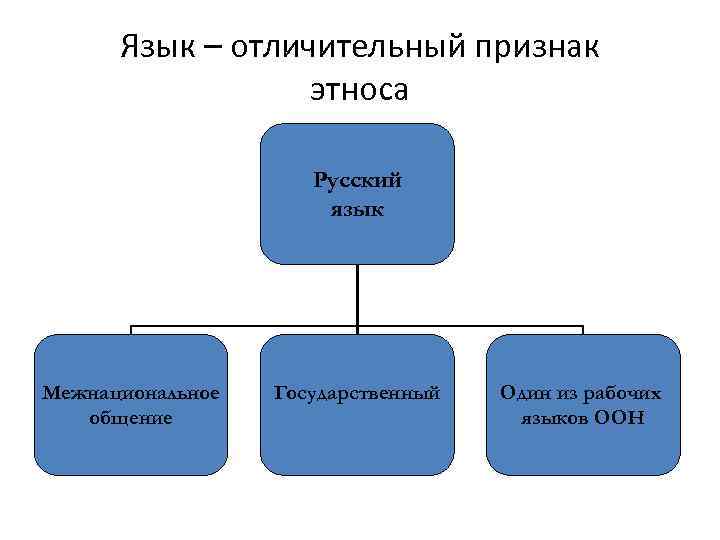 Язык – отличительный признак этноса Русский язык Межнациональное общение Государственный Один из рабочих языков