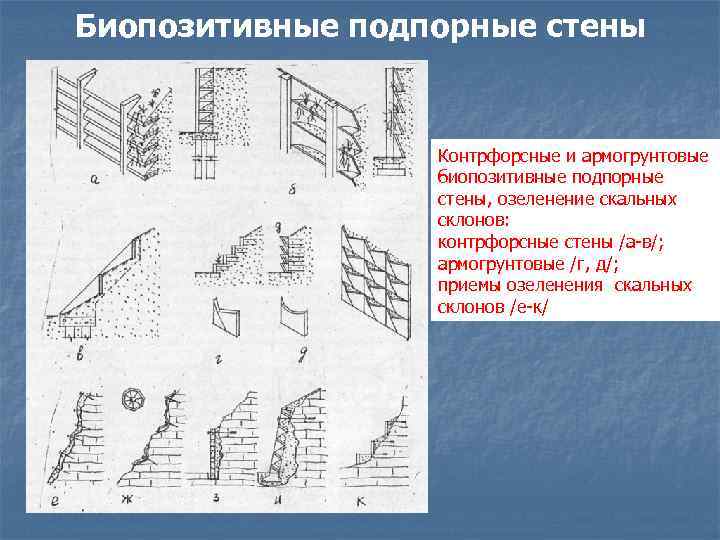 Биопозитивные подпорные стены Контрфорсные и армогрунтовые биопозитивные подпорные стены, озеленение скальных склонов: контрфорсные стены