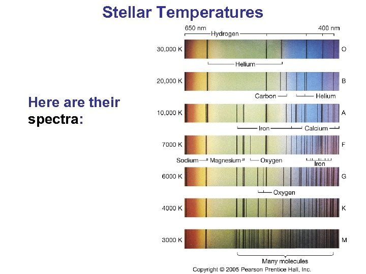 Stellar Temperatures Here are their spectra: 