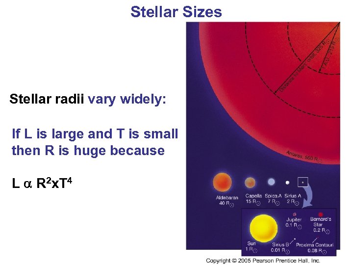 Stellar Sizes Stellar radii vary widely: If L is large and T is small