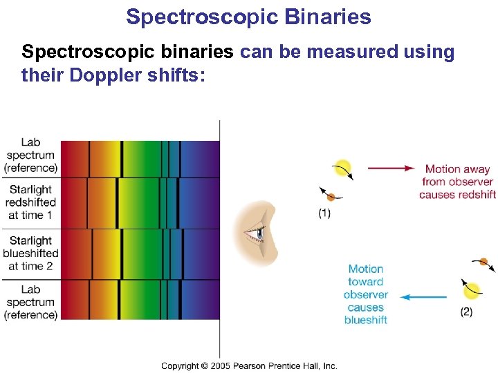Spectroscopic Binaries Spectroscopic binaries can be measured using their Doppler shifts: 