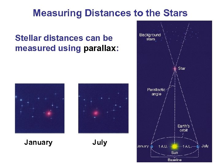 Measuring Distances to the Stars Stellar distances can be measured using parallax: January July