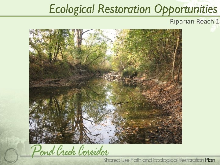 Ecological Restoration Opportunities Riparian Reach 1 