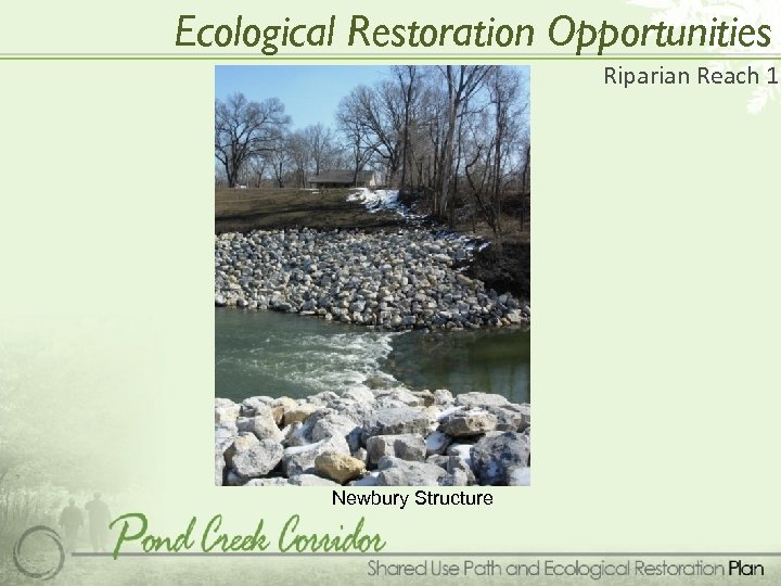 Ecological Restoration Opportunities Riparian Reach 1 Newbury Structure 