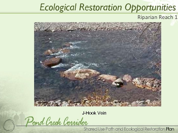 Ecological Restoration Opportunities Riparian Reach 1 J-Hook Vein 