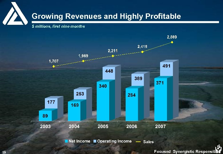Growing Revenues and Highly Profitable $ millions, first nine months Sales 18 Focused Synergistic