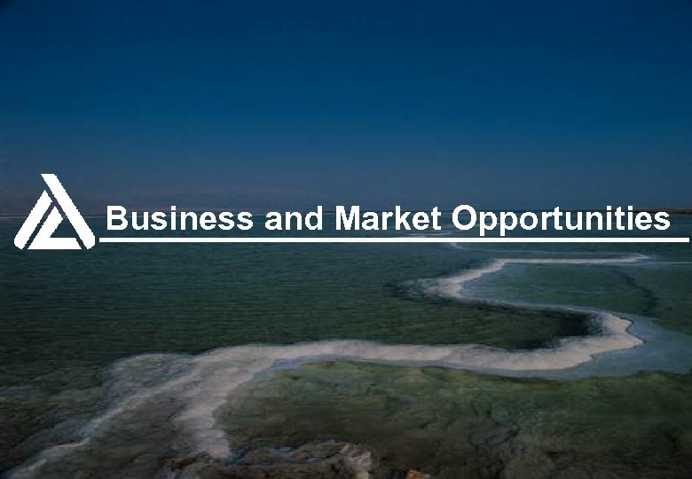 Business and Market Opportunities 