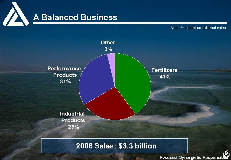 A Balanced Business Note: % based on external sales 2006 Sales: $3. 3 billion