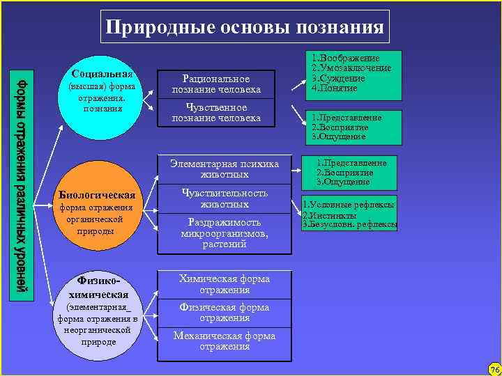 Природные основы познания Социальная (высшая) форма отражения. познания Рациональное познание человека Чувственное познание человека