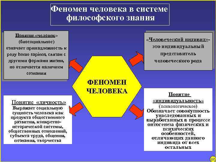 Феномен человека в системе философского знания Понятие «человек» (биосоциальное) означает принадлежность к роду homo