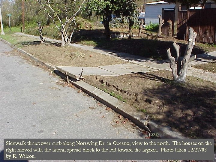Sidewalk thrust over curb along Norswing Dr. in Oceano, view to the north. The