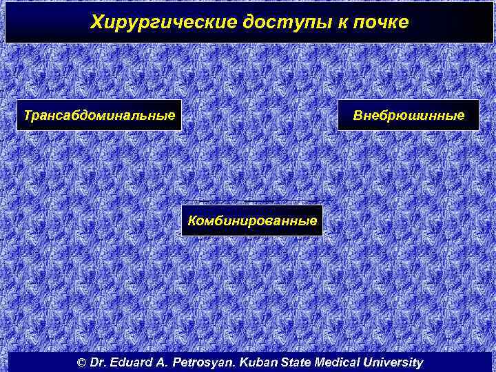 Хирургические доступы к почке Трансабдоминальные Внебрюшинные Комбинированные © Dr. Eduard A. Petrosyan. Kuban State