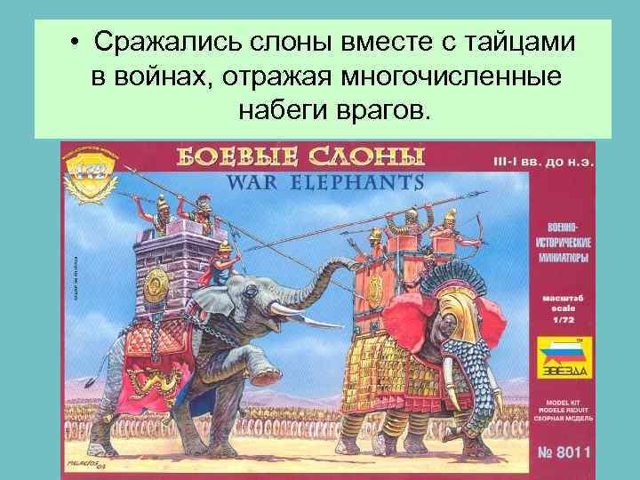  • Сражались слоны вместе с тайцами в войнах, отражая многочисленные набеги врагов. 