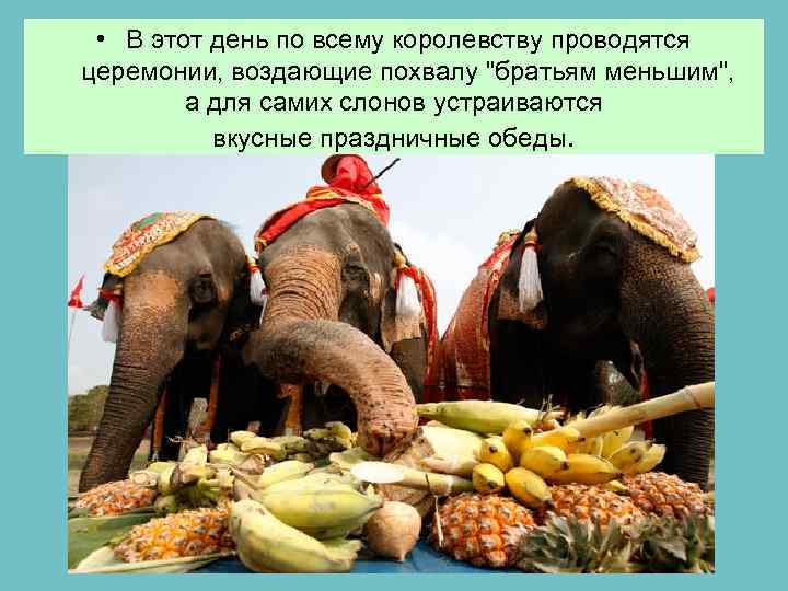  • В этот день по всему королевству проводятся церемонии, воздающие похвалу "братьям меньшим",