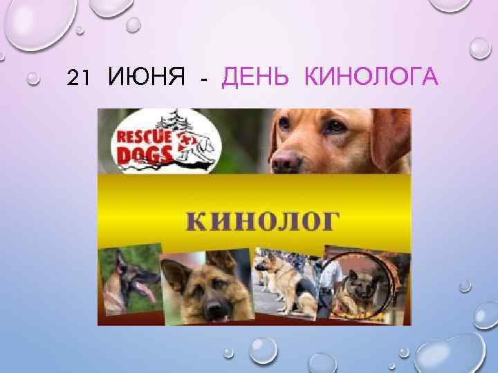 21 ИЮНЯ - ДЕНЬ КИНОЛОГА 