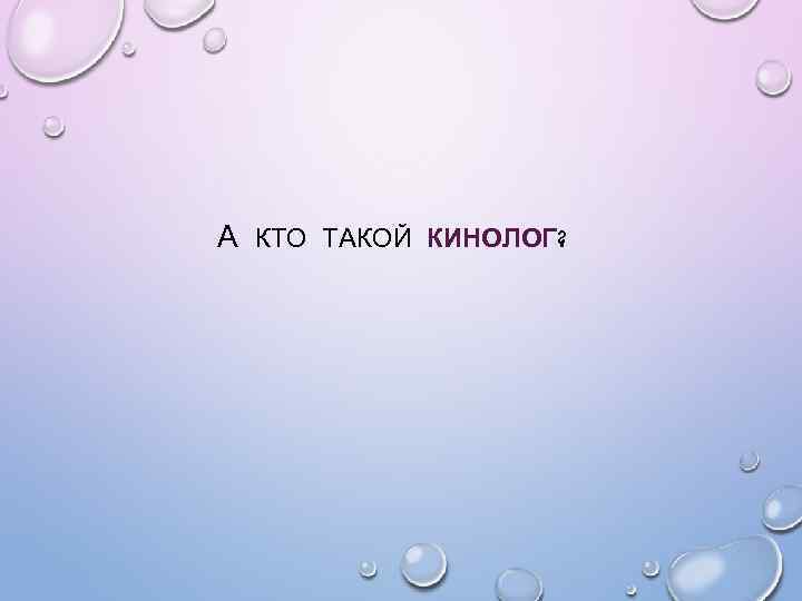 А КТО ТАКОЙ КИНОЛОГ? 