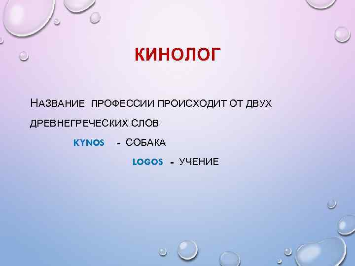 КИНОЛОГ НАЗВАНИЕ ПРОФЕССИИ ПРОИСХОДИТ ОТ ДВУХ ДРЕВНЕГРЕЧЕСКИХ СЛОВ KYNOS - СОБАКА LOGOS - УЧЕНИЕ