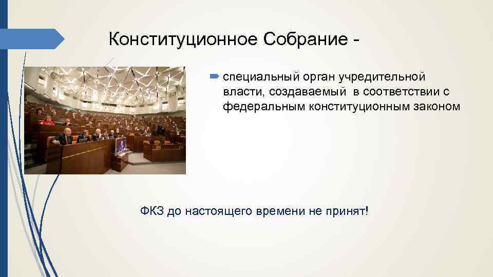 Конституционное Собрание специальный орган учредительной власти, создаваемый в соответствии с федеральным конституционным законом ФКЗ