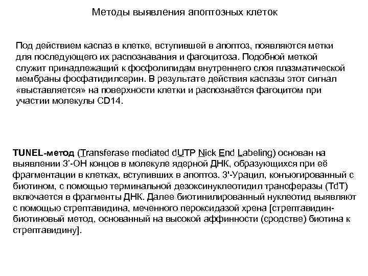 Методы выявления апоптозных клеток Под действием каспаз в клетке, вступившей в апоптоз, появляются метки