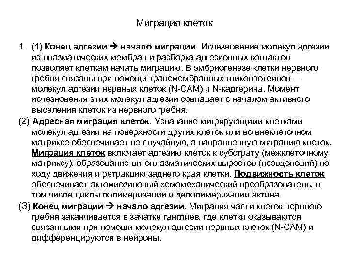 Миграция клеток 1. (1) Конец адгезии начало миграции. Исчезновение молекул адгезии из плазматических мембран