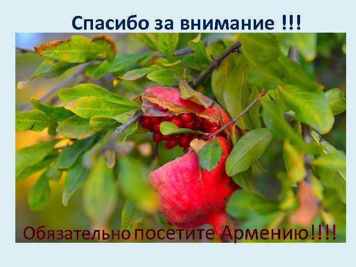 Спасибо за внимание !!! Обязательно посетите Армению!!!! 