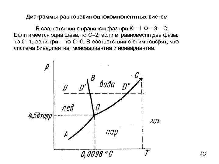 Какое уравнение описывает линии равновесия на диаграммах состояния однокомпонентных систем