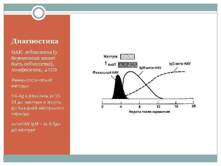 Диагностика ОАК: лейкопения (у беременных может быть лейкоцитоз), лимфопения, ↓СОЭ Иммунологические методы: НА-Ag в