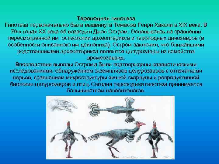 Тероподная гипотеза Гипотеза первоначально была выдвинута Томасом Генри Хаксли в XIX веке. В 70