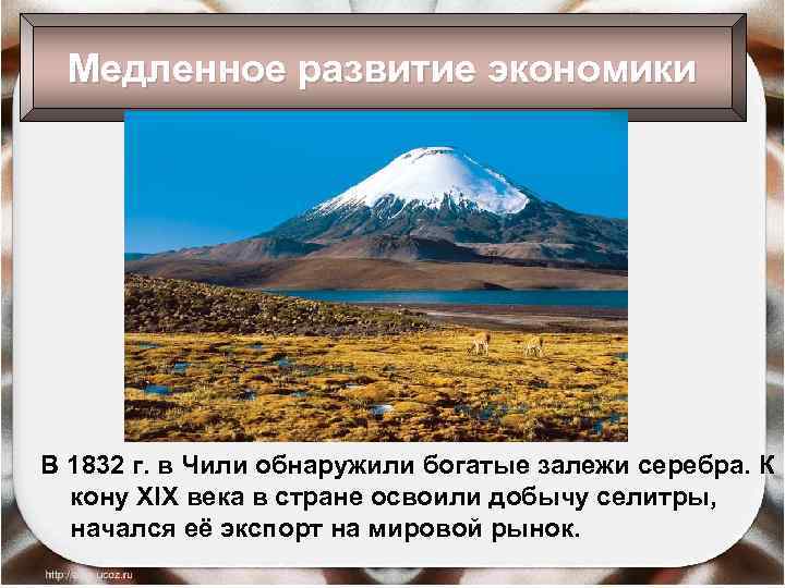 Медленное развитие экономики В 1832 г. в Чили обнаружили богатые залежи серебра. К кону