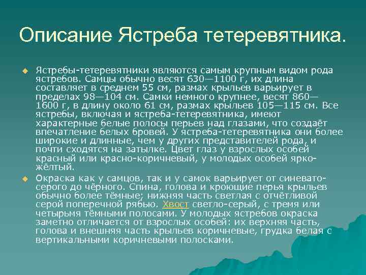 Описание Ястреба тетеревятника. u u Ястребы-тетеревятники являются самым крупным видом рода ястребов. Самцы обычно