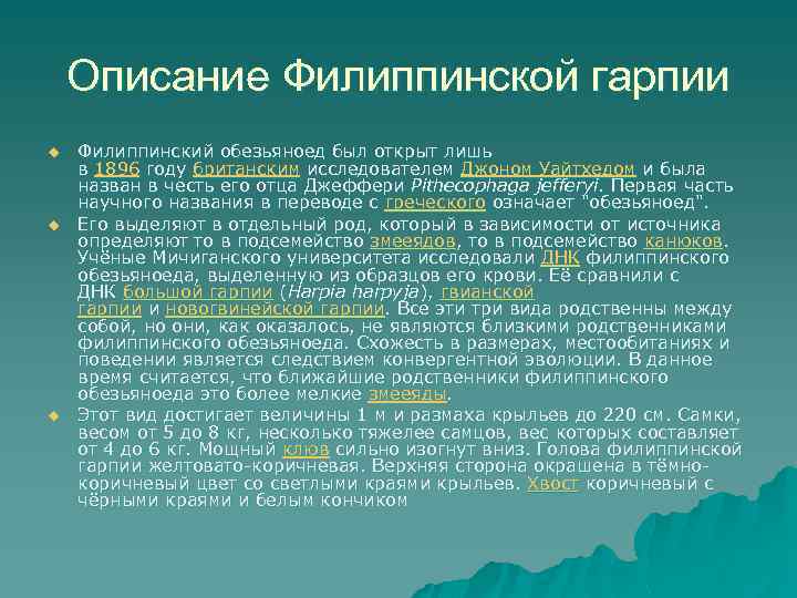Описание Филиппинской гарпии u u u Филиппинский обезьяноед был открыт лишь в 1896 году