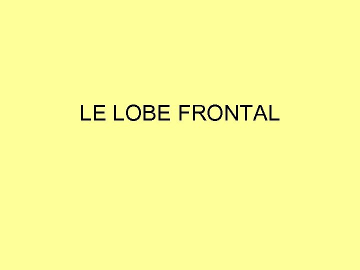 LE LOBE FRONTAL 