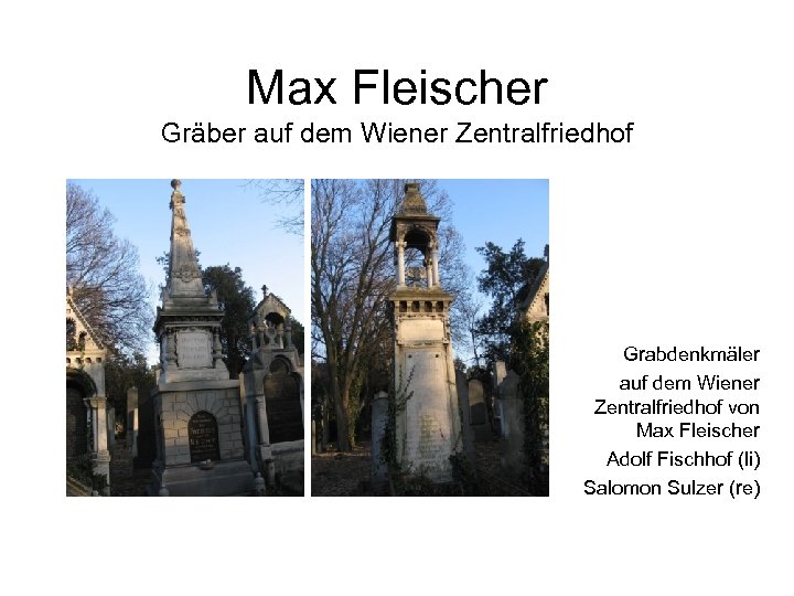 Max Fleischer Gräber auf dem Wiener Zentralfriedhof Grabdenkmäler auf dem Wiener Zentralfriedhof von Max