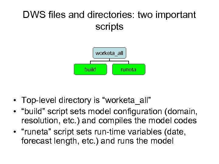 DWS files and directories: two important scripts worketa_all build runeta • Top-level directory is