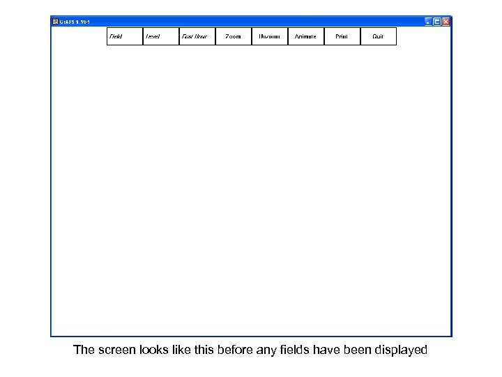 The screen looks like this before any fields have been displayed 
