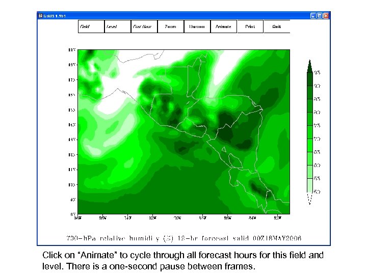 Click on “Animate” to cycle through all forecast hours for this field and level.