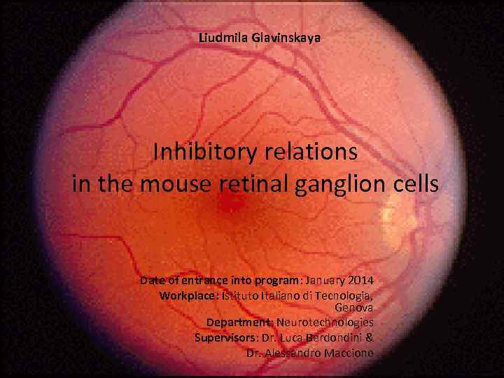 Liudmila Glavinskaya Inhibitory relations in the mouse retinal ganglion cells Date of entrance into