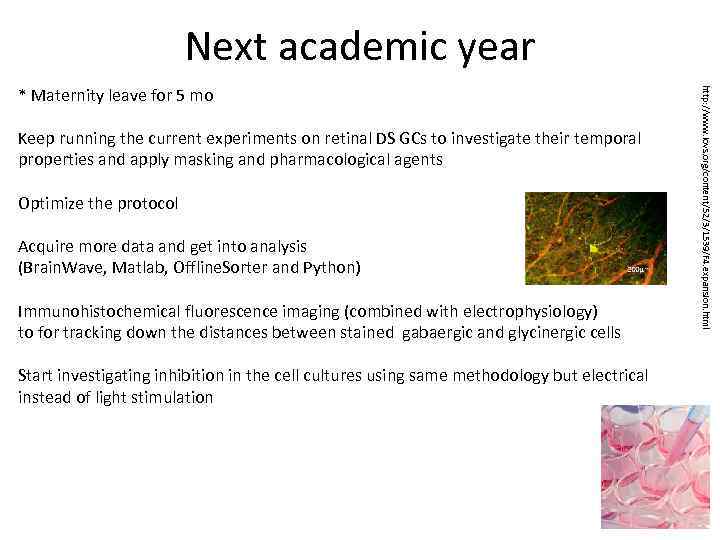 Next academic year Keep running the current experiments on retinal DS GCs to investigate