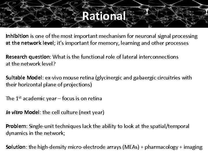 Rational Inhibition is one of the most important mechanism for neuronal signal processing at