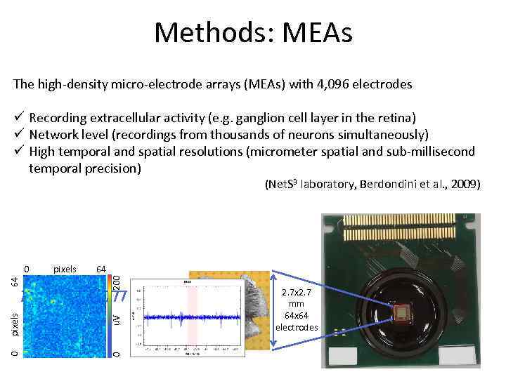 Methods: MEAs The high-density micro-electrode arrays (MEAs) with 4, 096 electrodes ü Recording extracellular